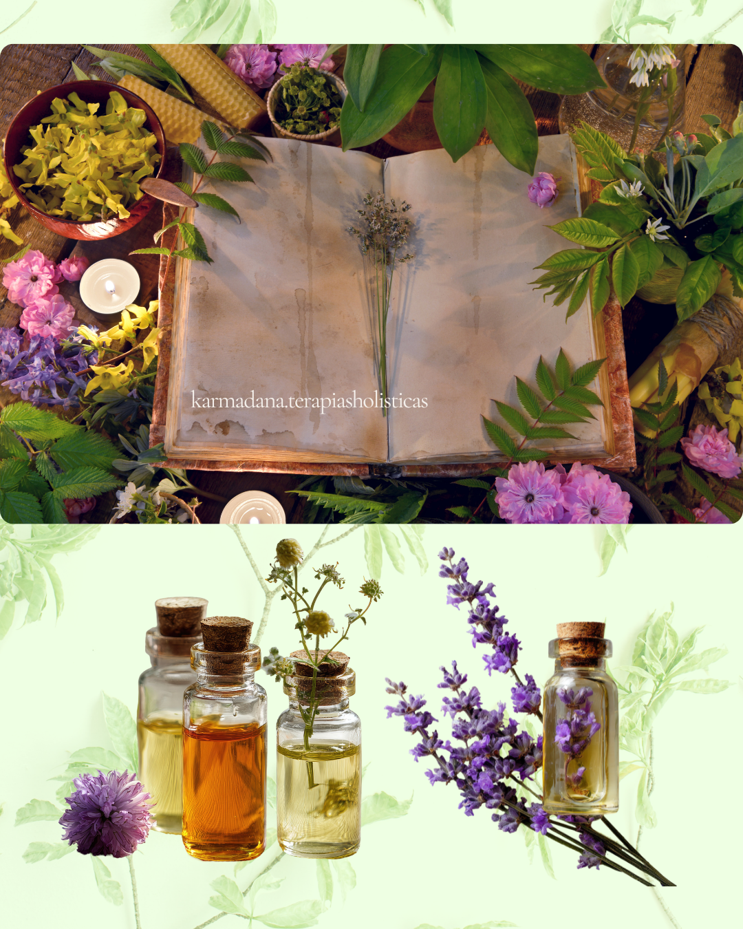 un libro de rituales y unos frascos de aceites esenciales